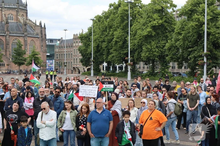 Veel demonstranten bij Pro Palestina demonstratie