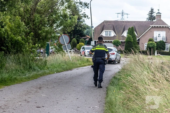 Grote zoektocht naar ontsnapte Serval