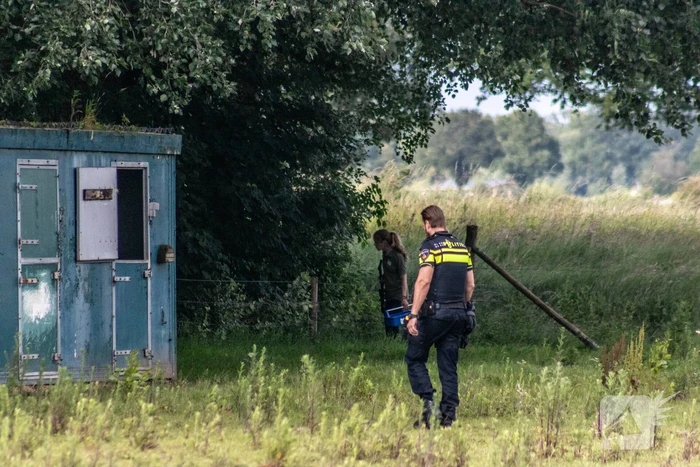 Grote zoektocht naar ontsnapte Serval