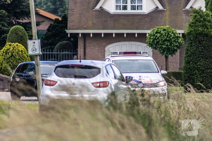 Grote zoektocht naar ontsnapte Serval
