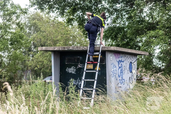 Grote zoektocht naar ontsnapte Serval