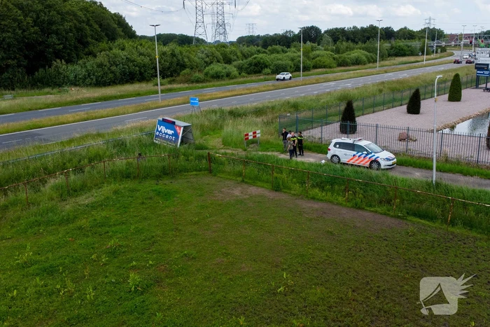 Grote zoektocht naar ontsnapte Serval