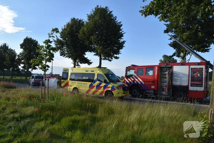 Automobilist botst tegen boom