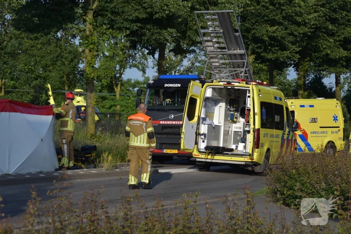 Automobilist botst tegen boom
