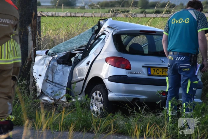 Automobilist botst tegen boom