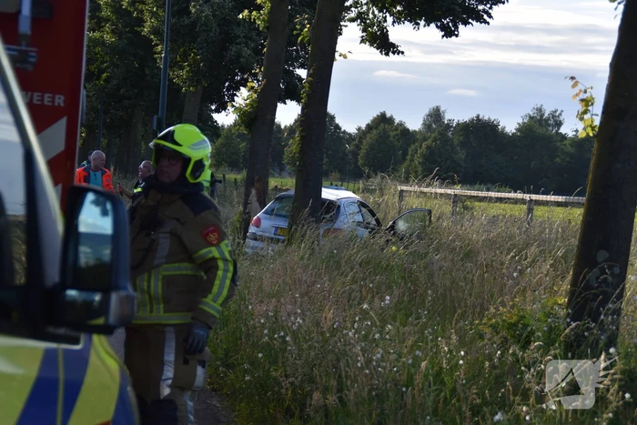 Automobilist botst tegen boom