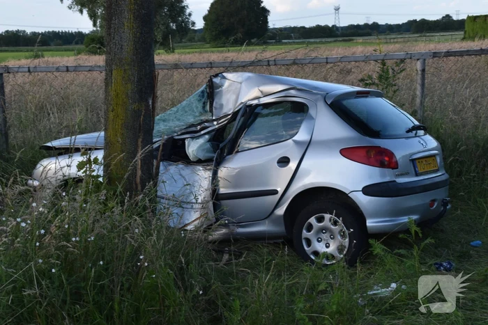 Automobilist botst tegen boom