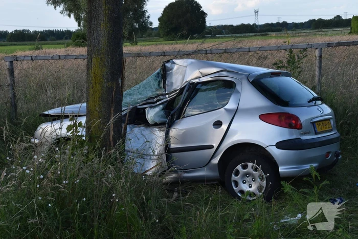 Automobilist botst tegen boom