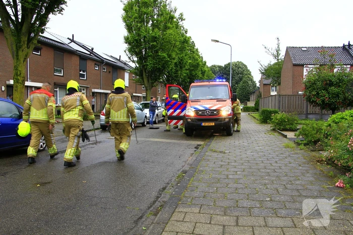 nieuws amalia van solmsstraat weert