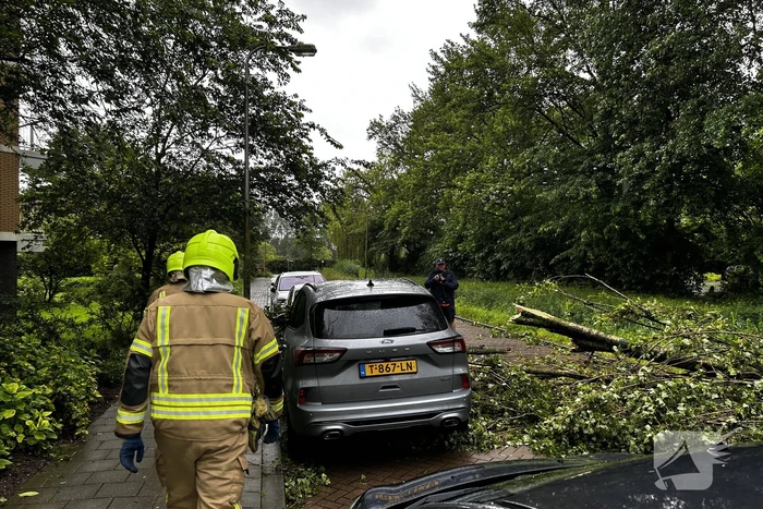 Auto fiks beschadigd door omgevallen boom