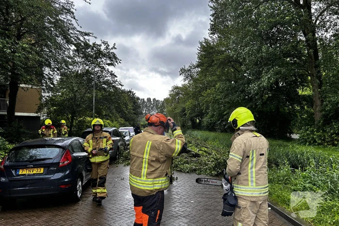 Auto fiks beschadigd door omgevallen boom