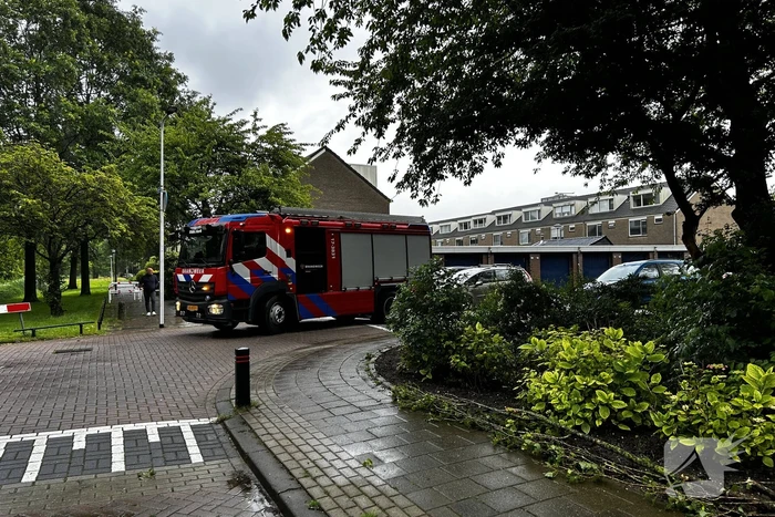 Auto fiks beschadigd door omgevallen boom