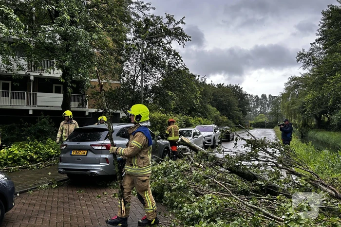 Auto fiks beschadigd door omgevallen boom