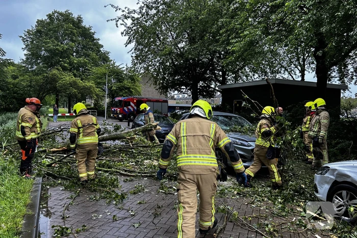 Auto fiks beschadigd door omgevallen boom