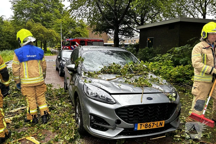 Auto fiks beschadigd door omgevallen boom