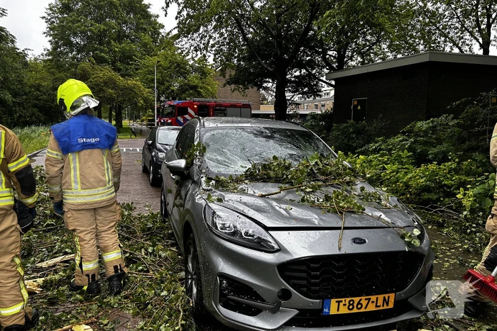 Auto fiks beschadigd door omgevallen boom