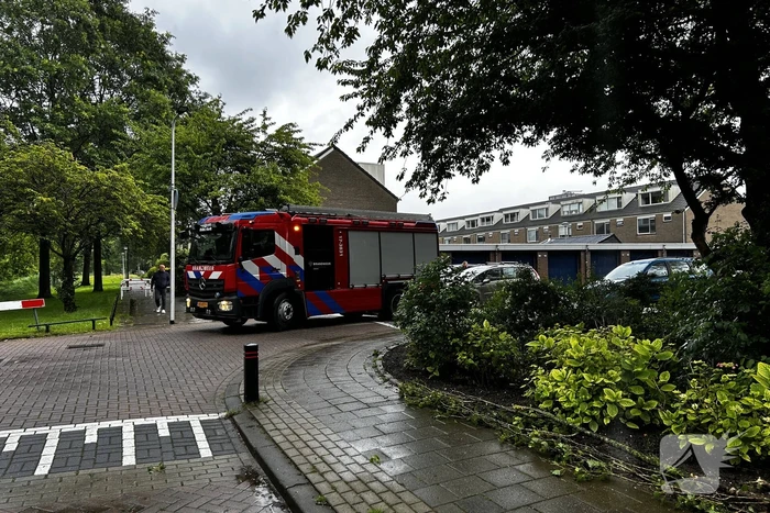 Auto fiks beschadigd door omgevallen boom