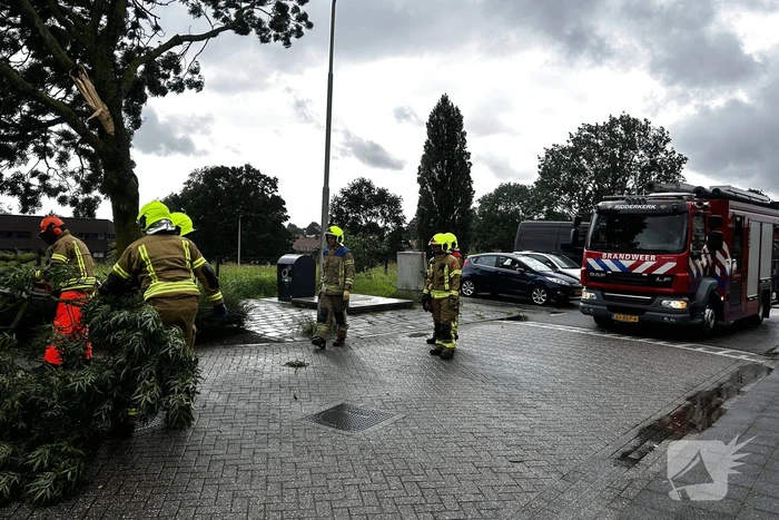 natuur pontonweg ridderkerk