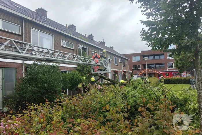 natuur anemoonstraat bergambacht