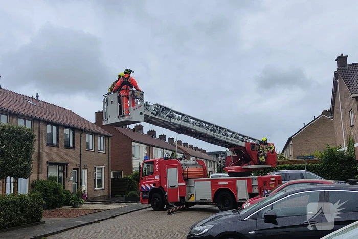 Boom waait tegen woning en beschadigd ruit