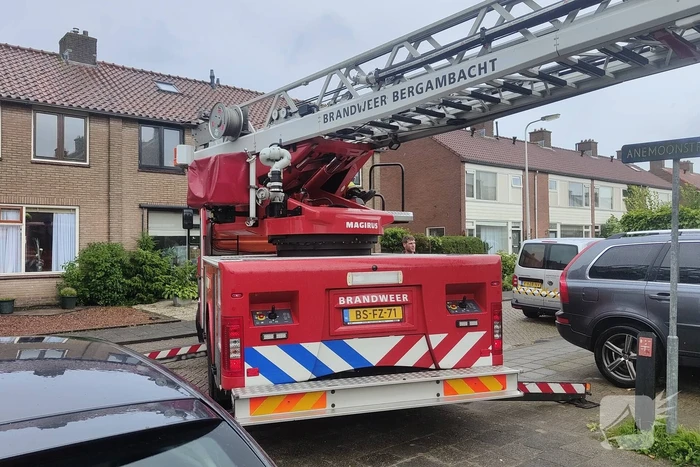Boom waait tegen woning en beschadigd ruit