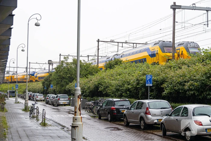 natuur stationsplein amsterdam