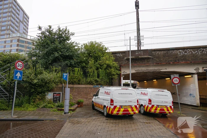 Treinverkeer plat door omgewaaide boom op bovenleiding