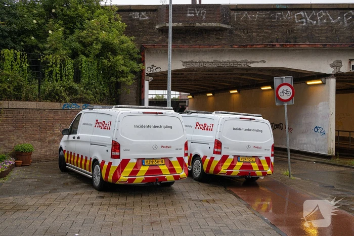 Treinverkeer plat door omgewaaide boom op bovenleiding