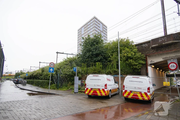Treinverkeer plat door omgewaaide boom op bovenleiding