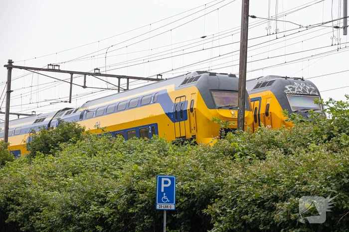 Treinverkeer plat door omgewaaide boom op bovenleiding