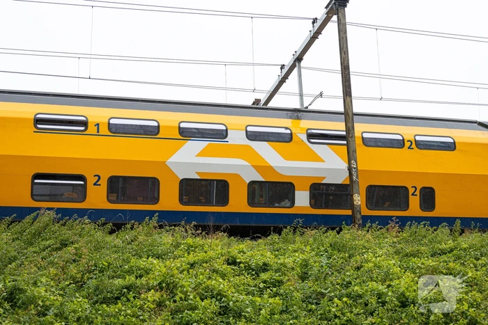 Treinverkeer plat door omgewaaide boom op bovenleiding