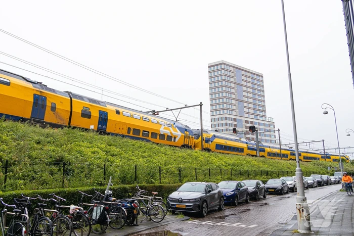 Treinverkeer plat door omgewaaide boom op bovenleiding