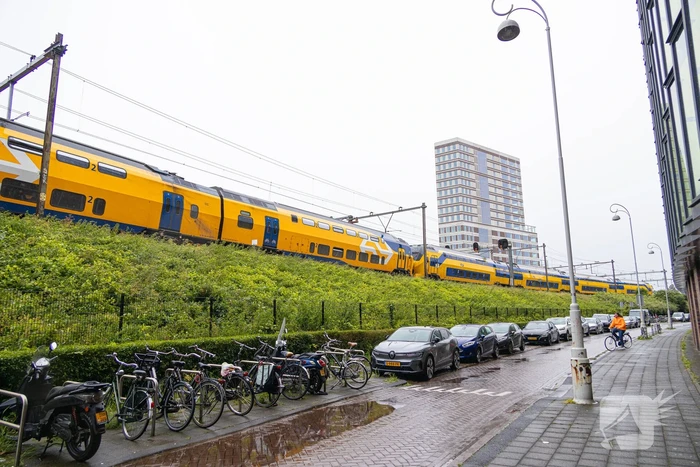 Treinverkeer plat door omgewaaide boom op bovenleiding