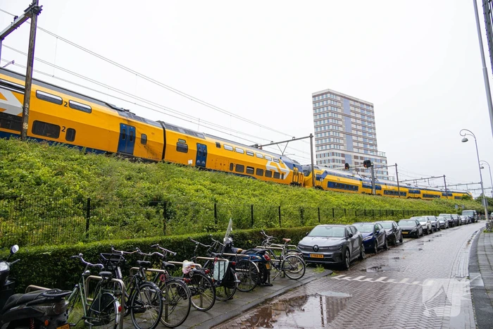 Treinverkeer plat door omgewaaide boom op bovenleiding