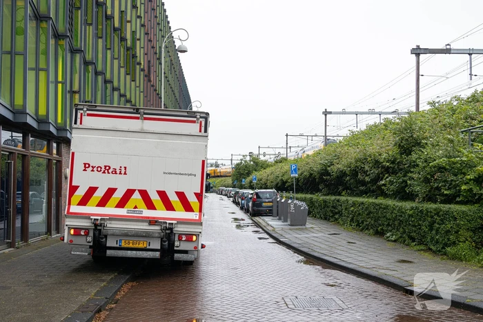 Treinverkeer plat door omgewaaide boom op bovenleiding