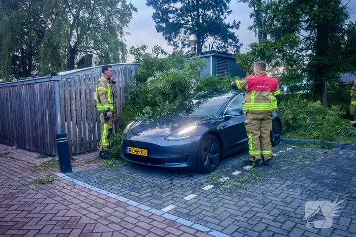 Grote tak breekt af en valt op geparkeerde auto