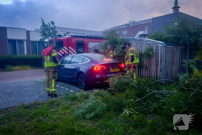 Grote tak breekt af en valt op geparkeerde auto