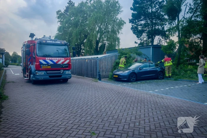 natuur stationsweg dirksland