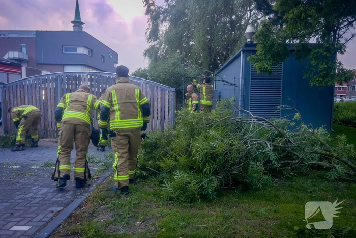 Grote tak breekt af en valt op geparkeerde auto
