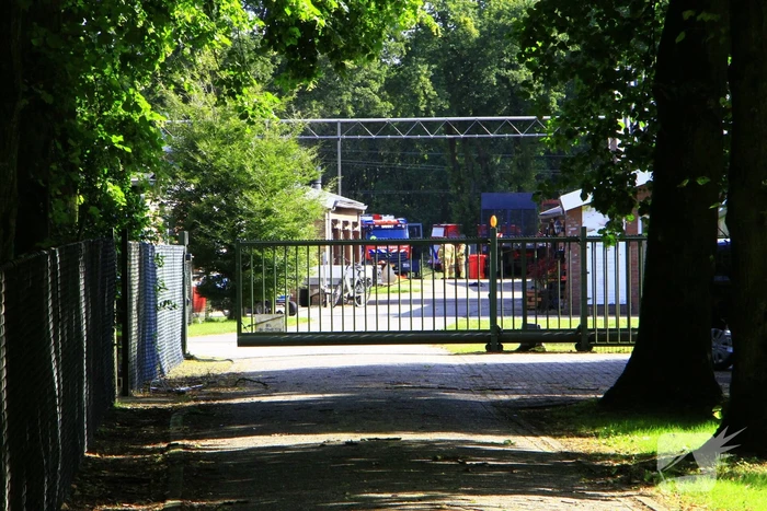 Kalf zakt door rooster, brandweer aanwezig