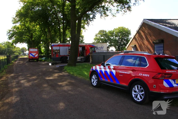 Kalf zakt door rooster, brandweer aanwezig