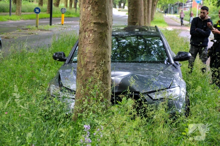 Automobilist rijdt tegen boom