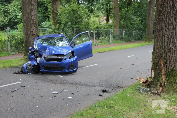 Automobilist botst frontaal op boom