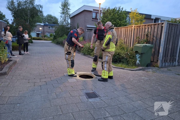 milieu botter 18 lelystad