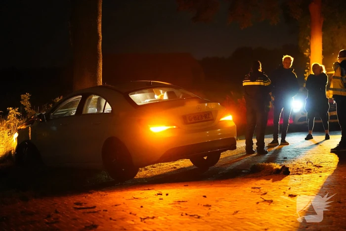 Autobestuurder botst tegen twee bomen