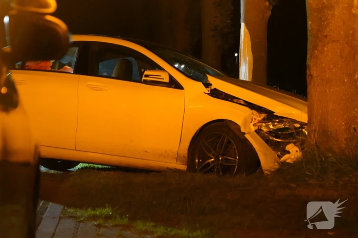 Autobestuurder botst tegen twee bomen