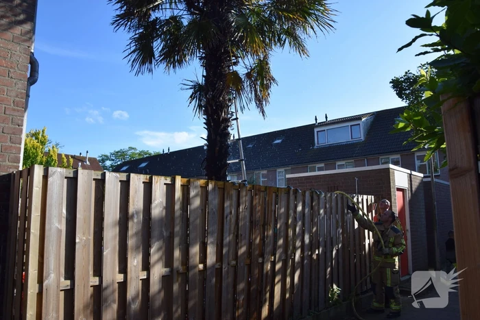 Steekvlam uit barbecue zet boom in brand