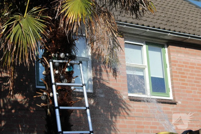 Steekvlam uit barbecue zet boom in brand