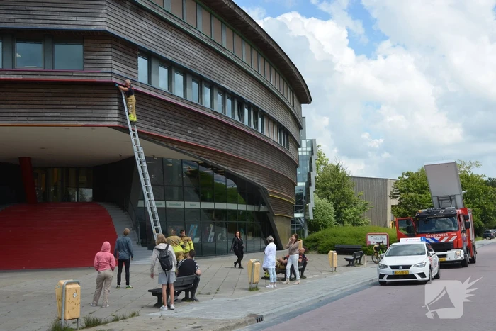Brandweer haalt dode kraai van schoolgebouw