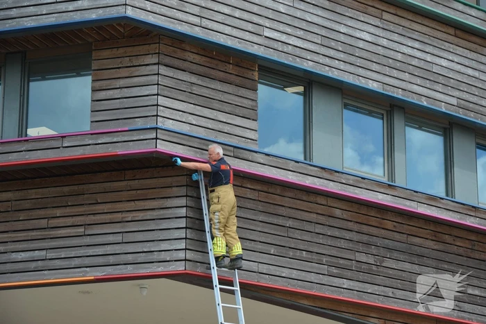 Brandweer haalt dode kraai van schoolgebouw